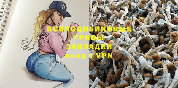 мескалин Алексин